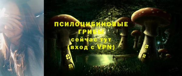 молекула духа Красноперекопск