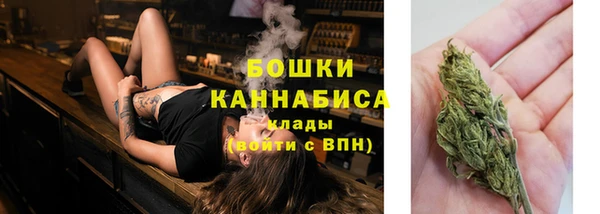 стаф Кулебаки