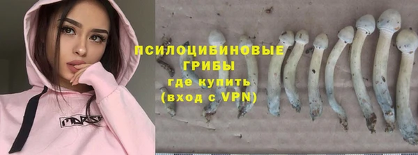 альфа пвп Краснотурьинск