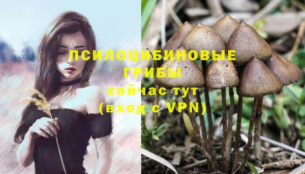 соль курить ск Костерёво